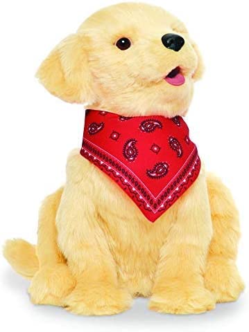 Companion Pets Golden Pup