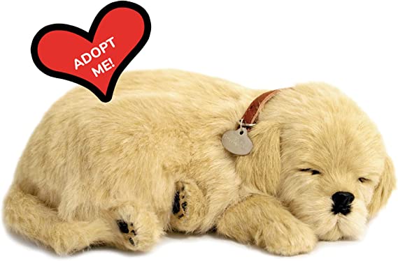 Perfect Petzzz Golden Retriever Plush